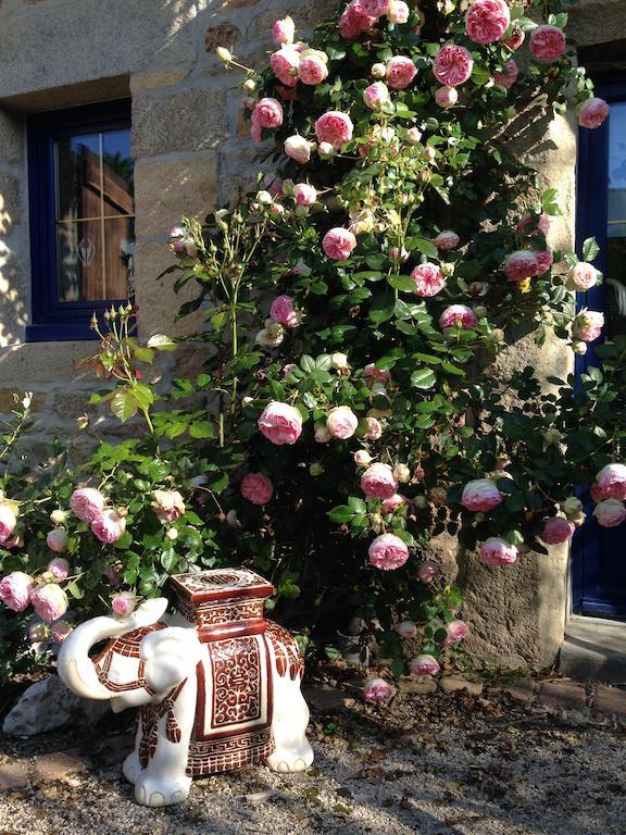 Le Domaine De Saint-Thomin Bed & Breakfast Nostang Exterior foto